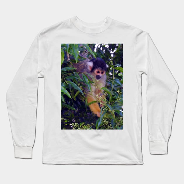 Squirrel Monkey Long Sleeve T-Shirt by kirstybush